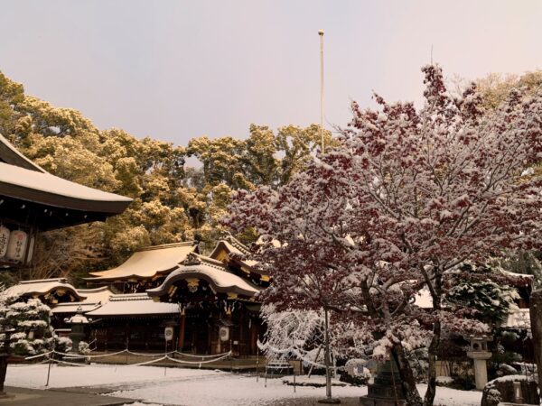 fisut snow on the Imamiya shrine