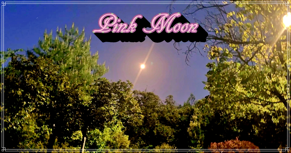 Eye-catching Pink Moon