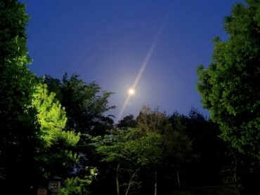 Pink_ moon_funaokayama (2)