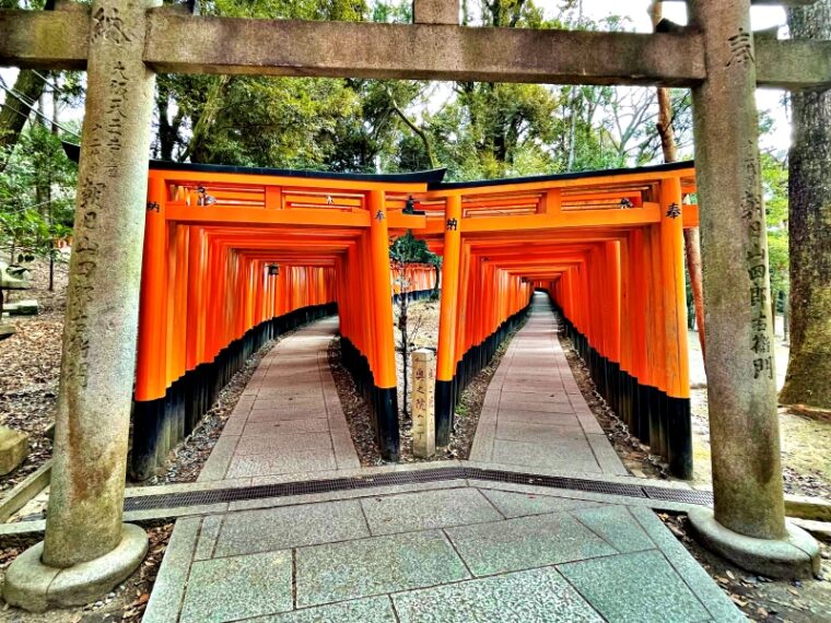 Thousand Torii Gates