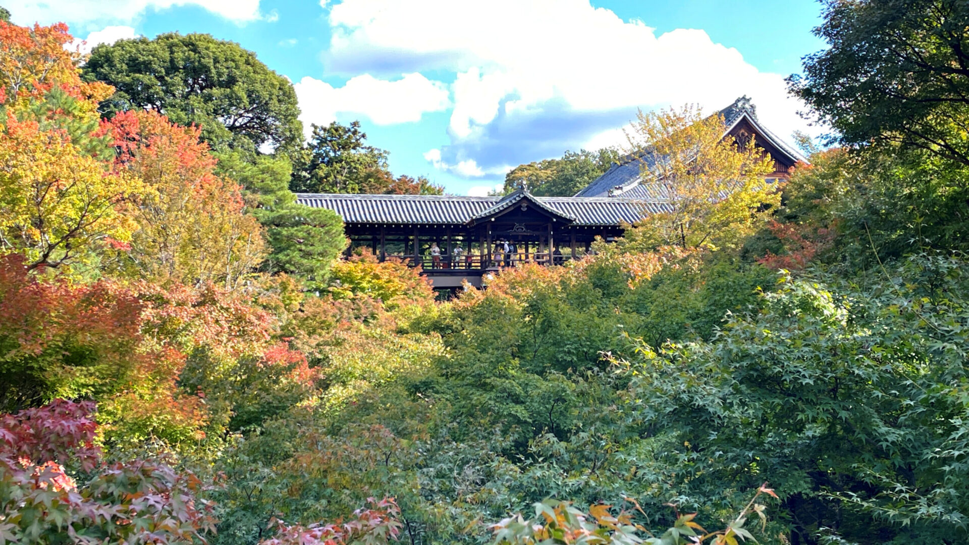 2022Tofukuji Autumn leaves