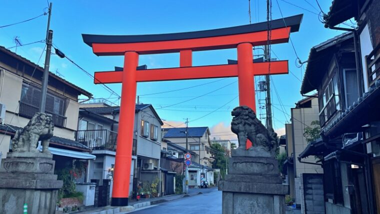 Torii of Imamiya Shrine