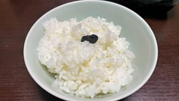 freshly cooked rice