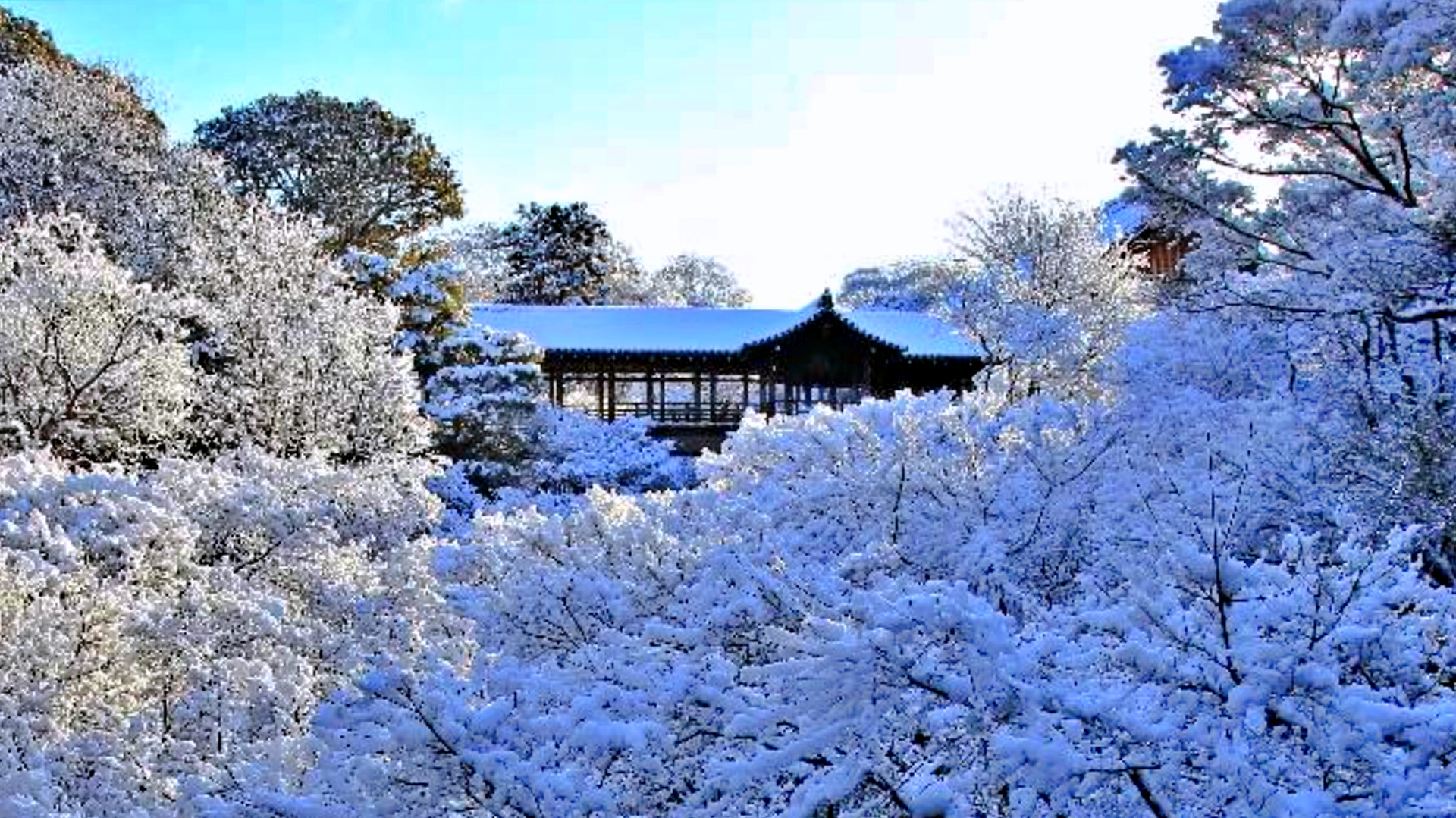 toufukuji-snow