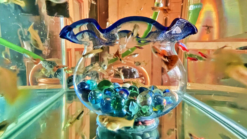 marbles aquarium