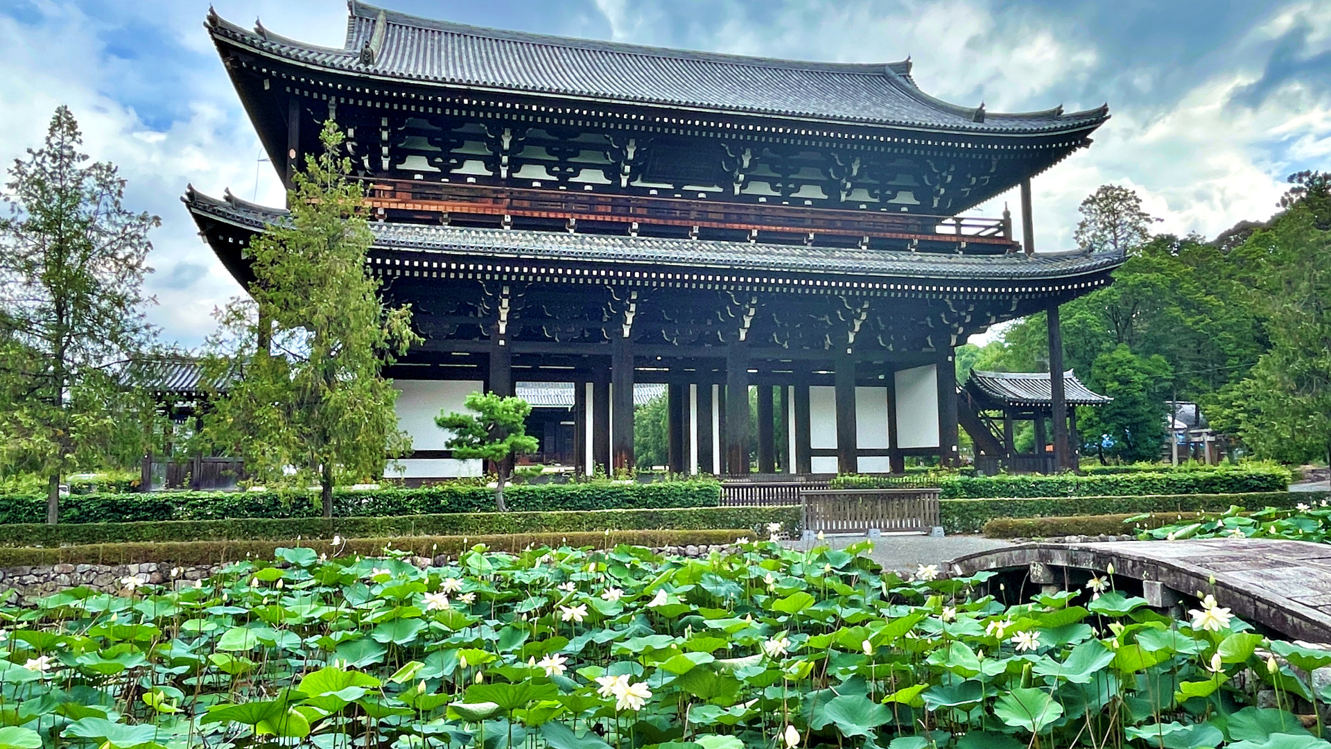 Tofukuji lotus pond
