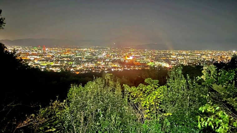 Overlooking Kyoto