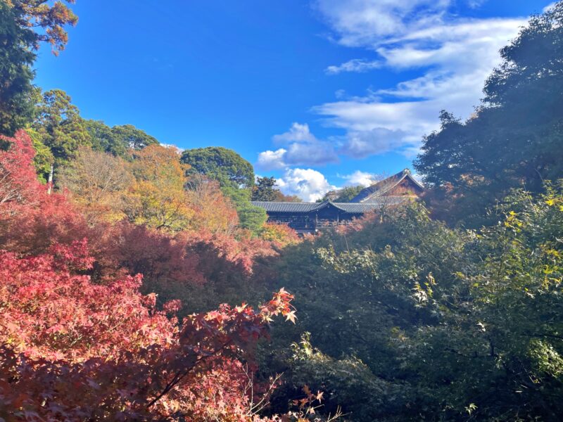 2023-11-18東福寺の紅葉