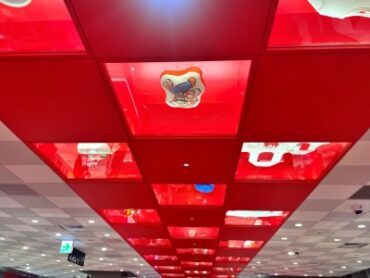 Ceiling inside the store