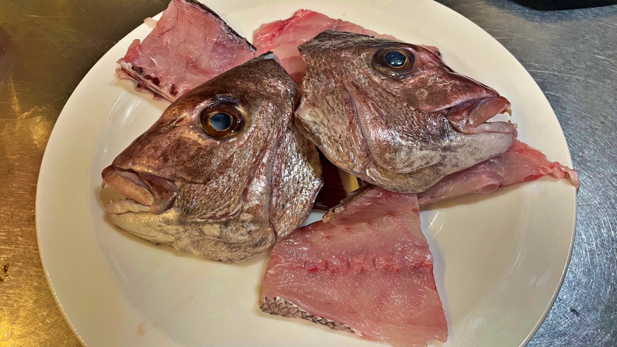 Eye-catching Sea bream head and meat with bones