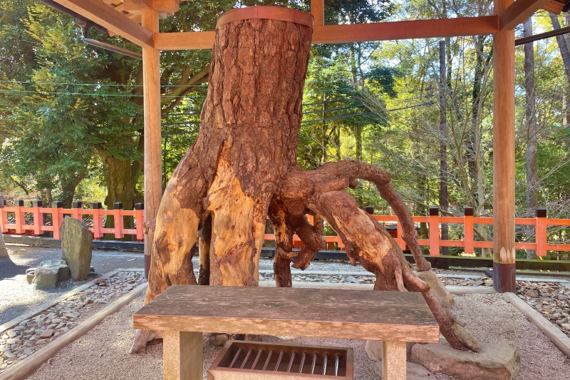 “Neagari no Matsu” at Fushimi Inari Taisha Shrine