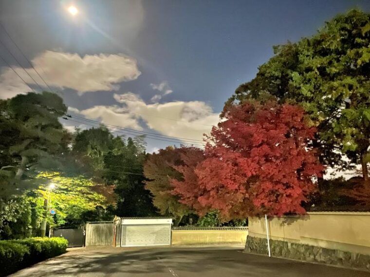 Around Tofukuji Temple at midnight