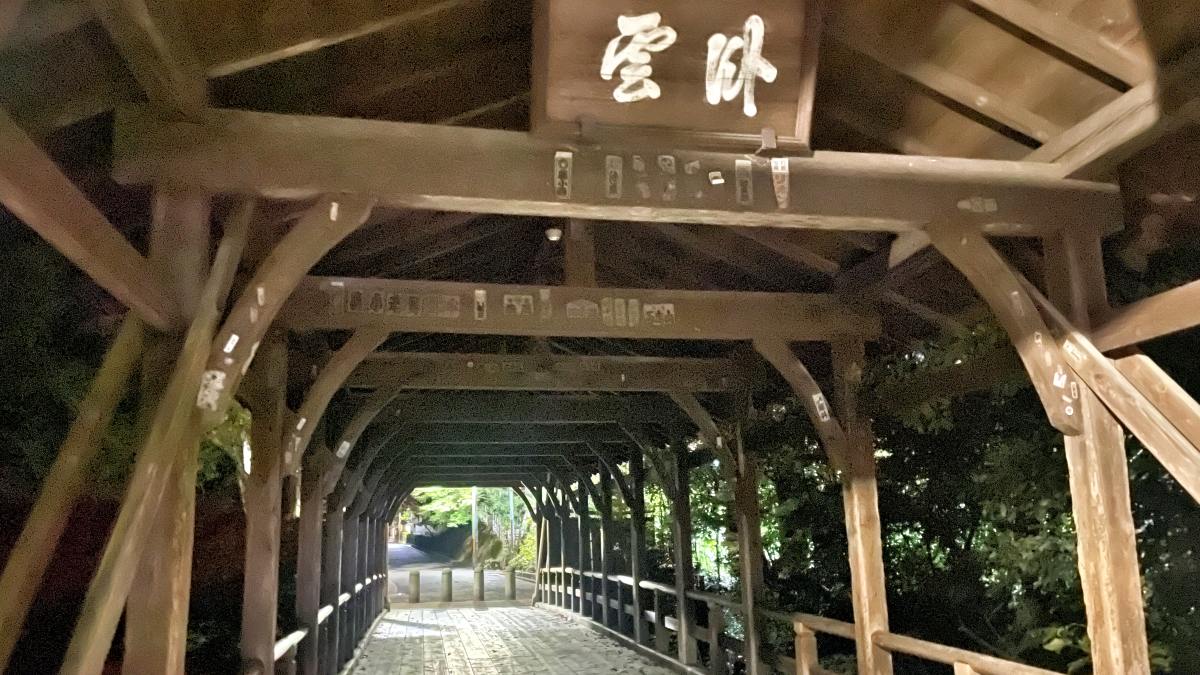 Eye-catching Midnight Tofukuji Temple